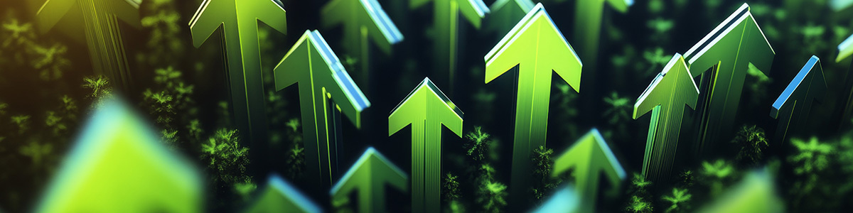 10 Essentials for an Investor-Friendly Cap Table